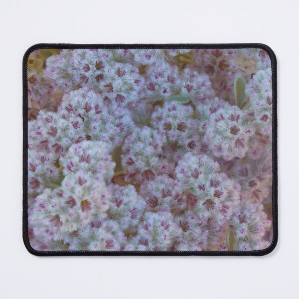 Item preview, White and Pink Australian Wildflowers designed and sold by KaSaPo.
