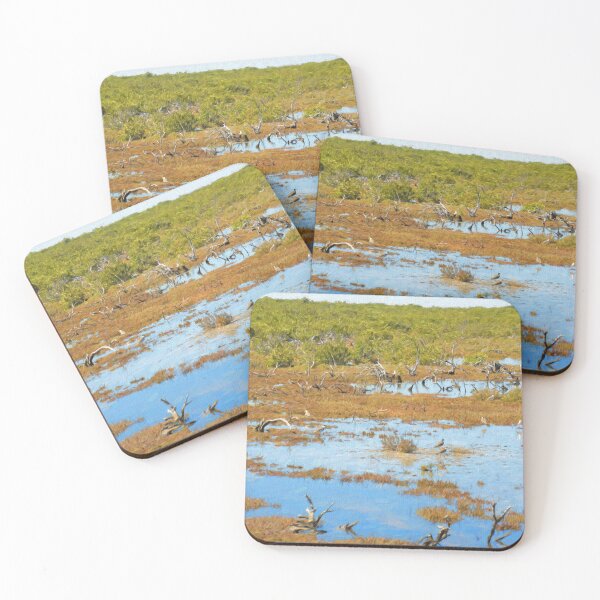 Item preview, Marsh Lands designed and sold by DVJPhotography.