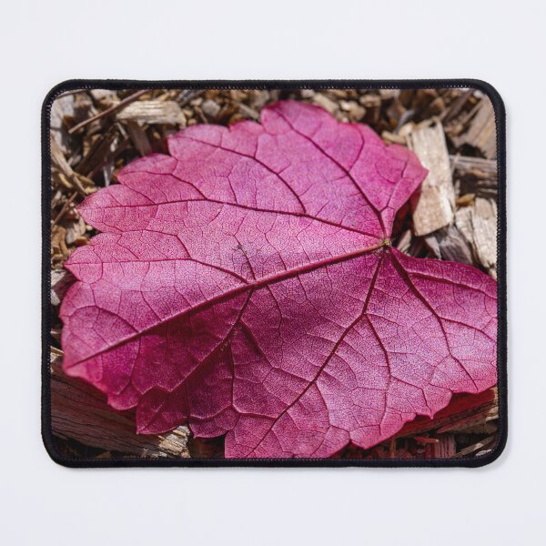 Item preview, Magenta Leaf designed and sold by PhotosByFelix.