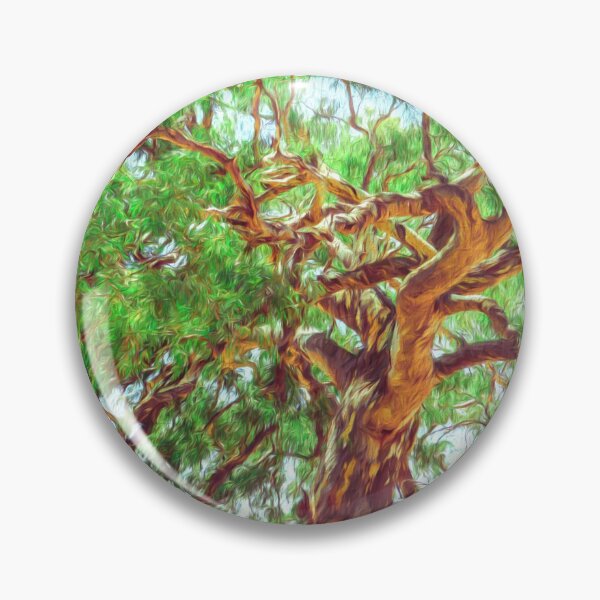 Item preview, Ancient tree designed and sold by DVJPhotography.