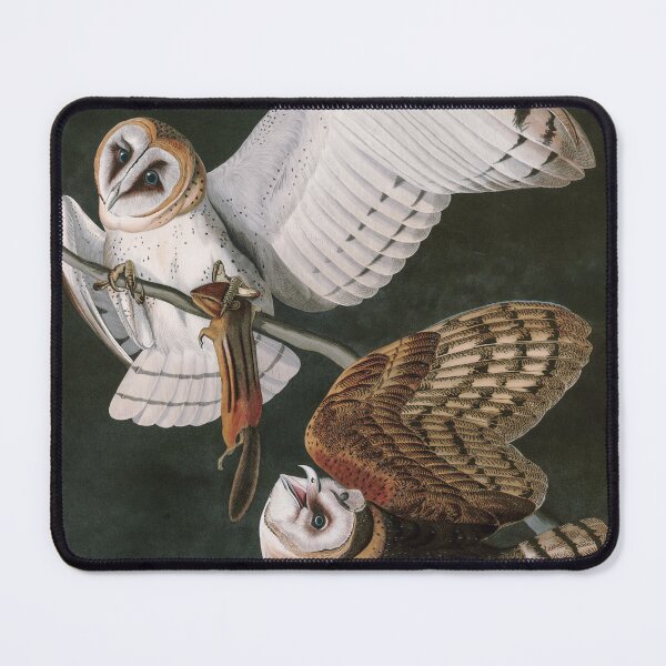 Item preview, Barn Owls, the Birds of America by John James Audubon designed and sold by VintageArchive.