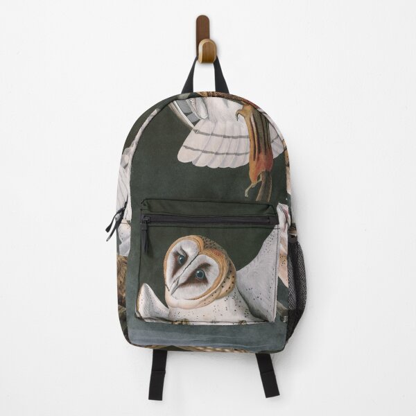 Item preview, Barn Owls, the Birds of America by John James Audubon designed and sold by VintageArchive.