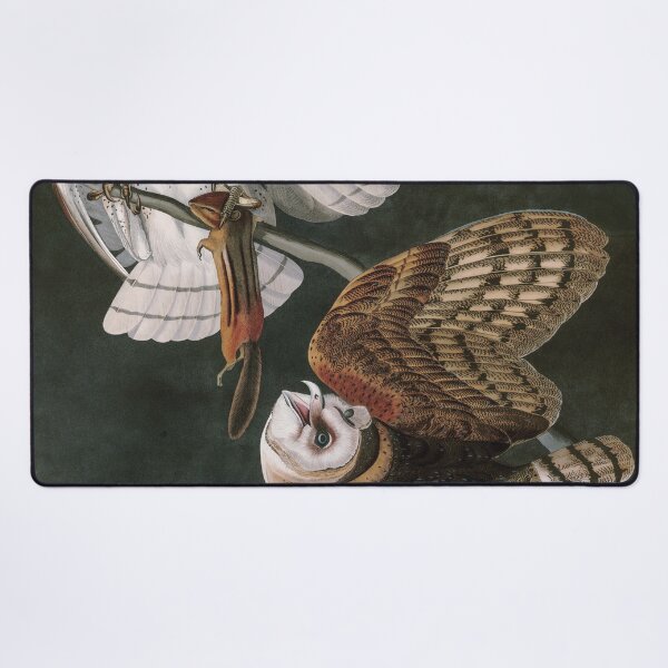 Item preview, Barn Owls, the Birds of America by John James Audubon designed and sold by VintageArchive.