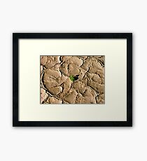 survival Framed Print