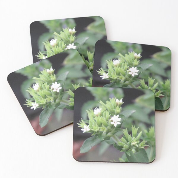 Item preview, Dainty white flowers designed and sold by greentiger1.