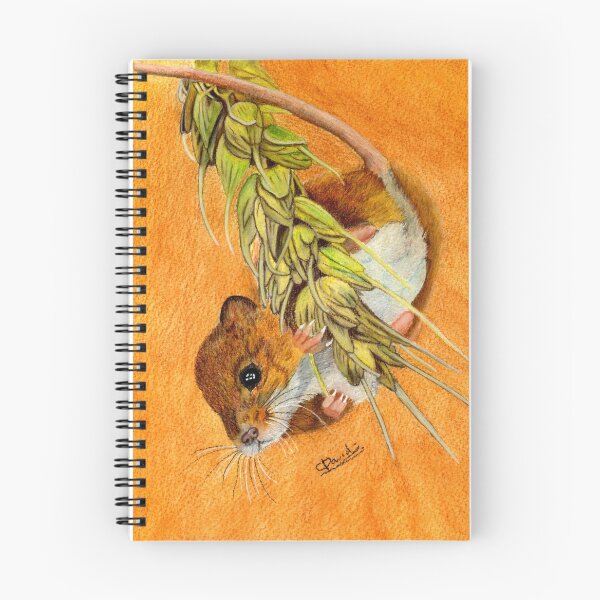 Item preview, Dormouse Hanging In There designed and sold by collydavid.