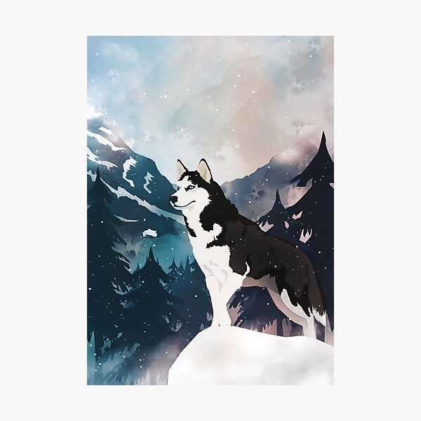 Mountain Husky Photographic Print