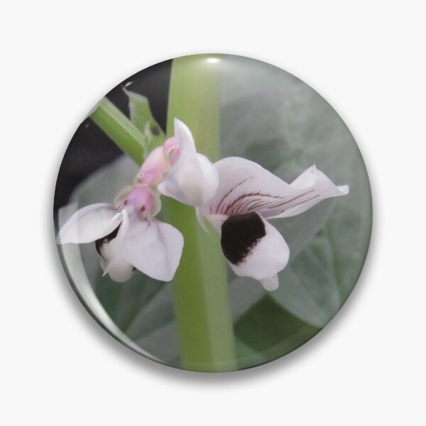 Item preview, Broad bean flowers designed and sold by greentiger1.