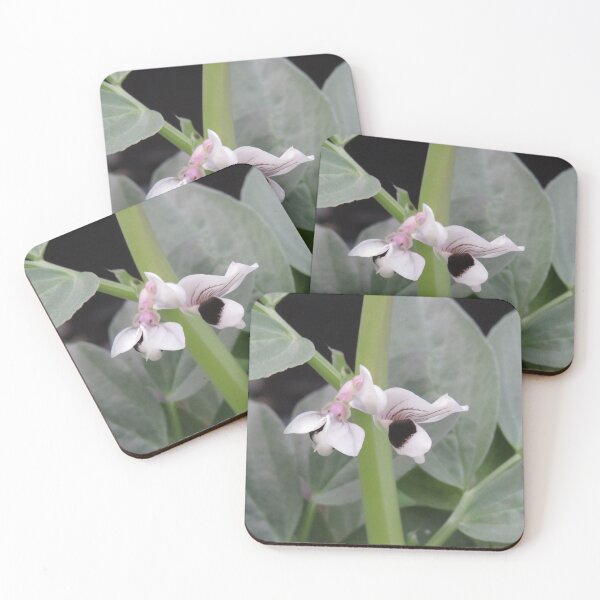 Item preview, Broad bean flowers designed and sold by greentiger1.