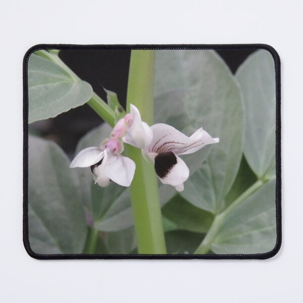 Item preview, Broad bean flowers designed and sold by greentiger1.