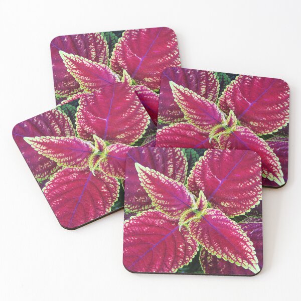 Item preview, Coleus Leaves designed and sold by likbatonboot.