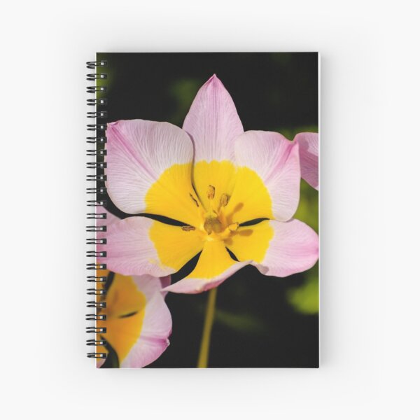 Flowerpower Spiral Notebook