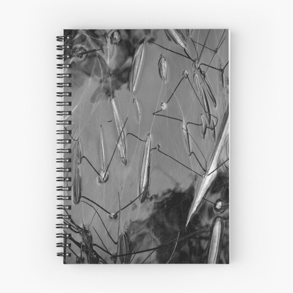 Item preview, Upstream designed and sold by Ben Loveday.
