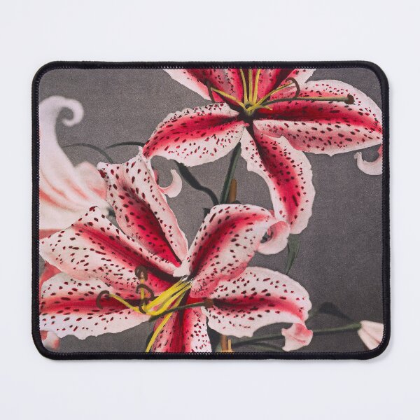 Item preview, Japanese Lily by Kazumasa designed and sold by jadeandjester.