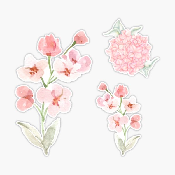 Pack of 3 pink flower stickers Sticker for Sale by JLKim