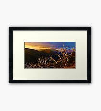 0389 Mt Hotham Brush Framed Print