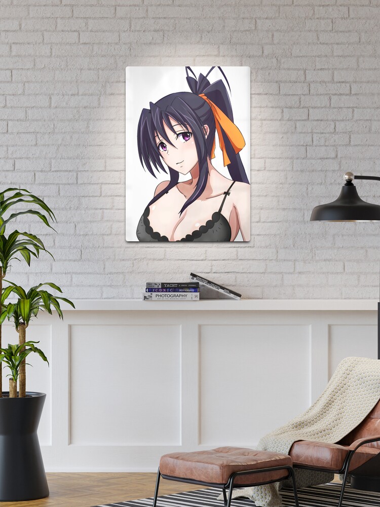 A Wide Variety of High School (Highschool) DxD Anime Characters Anime Wall  Scroll Hanging Decor (Himejima Akeno 1) : : Stationery & Office  Supplies