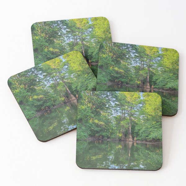 Item preview, Oconee River River swamp designed and sold by Randell Meeks.