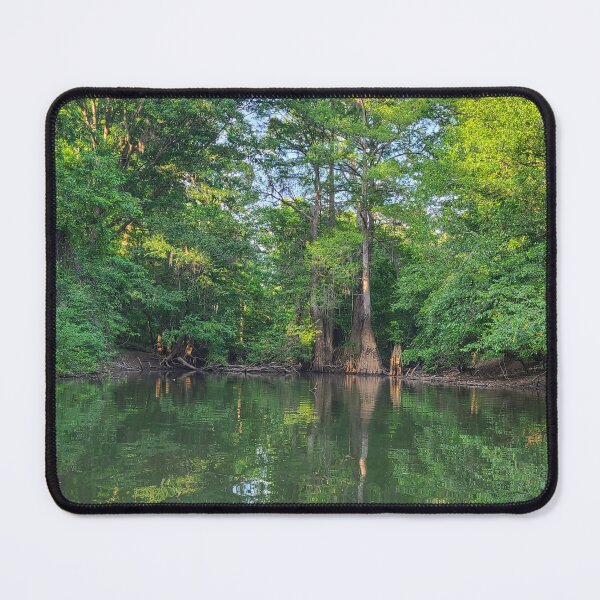 Item preview, Oconee River River swamp designed and sold by Randell Meeks.