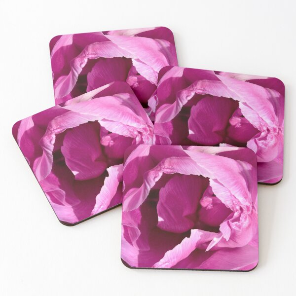 Item preview, Tulip, Focus Stacked to give impossible sharpness. designed and sold by JonDelorme.