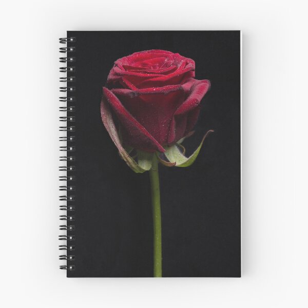 Item preview, red rose designed and sold by Jagged-designs.