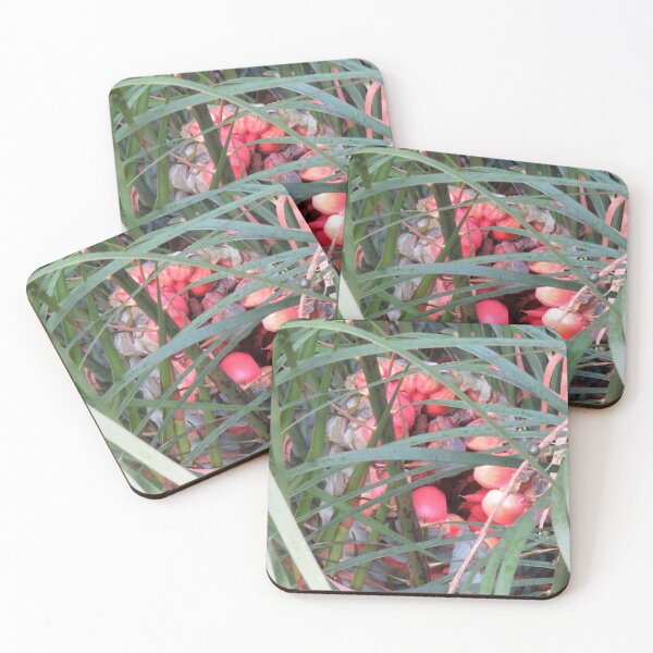 Item preview, Cycad seeds designed and sold by greentiger1.