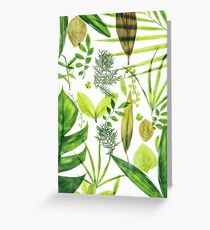 Foliage Greeting Card