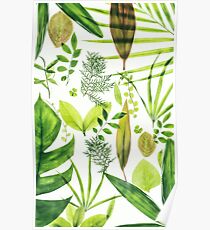 Foliage Poster