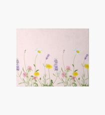 Blush pink - wildflower dreams Art Board