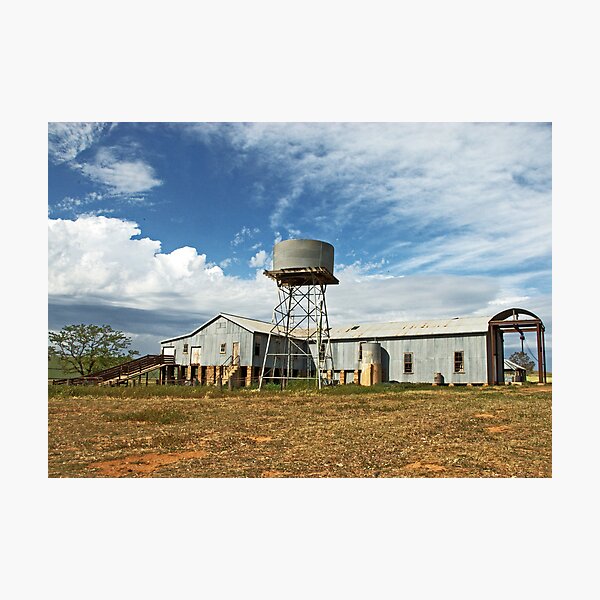 Item preview, Currawong Shearing Shed designed and sold by GailD.