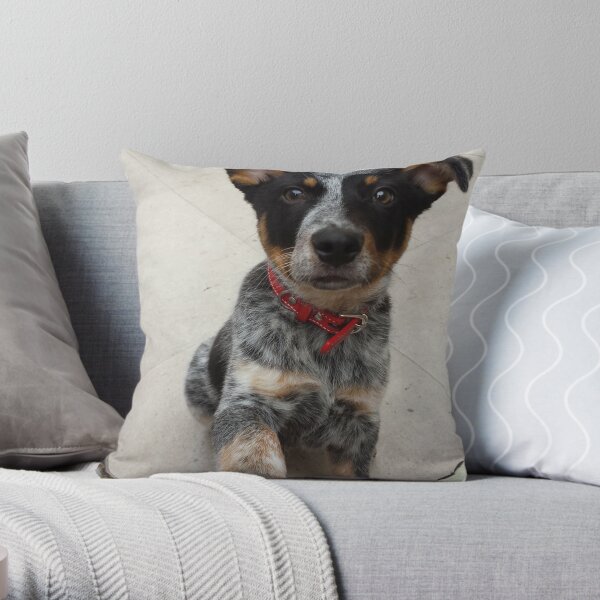 Puppy Pillows Cushions Redbubble - red heeler puppy roblox