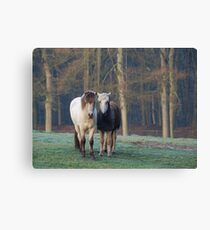 Standing together Canvas Print