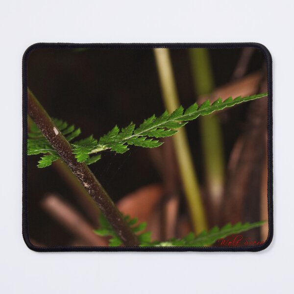 Item preview, Botanic Garden Close Ups (10) designed and sold by Wolf Sverak Photography.