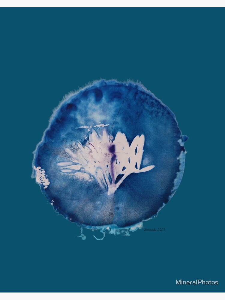 Cyanotype  Creating botanical prints with alternative printing process