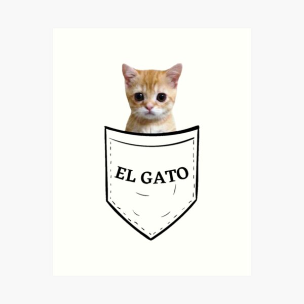 Le gato - Meme by Nyll :) Memedroid