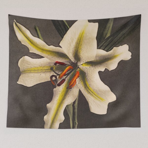 Item preview, Antique Hakuo Lily Collotype designed and sold by jadeandjester.