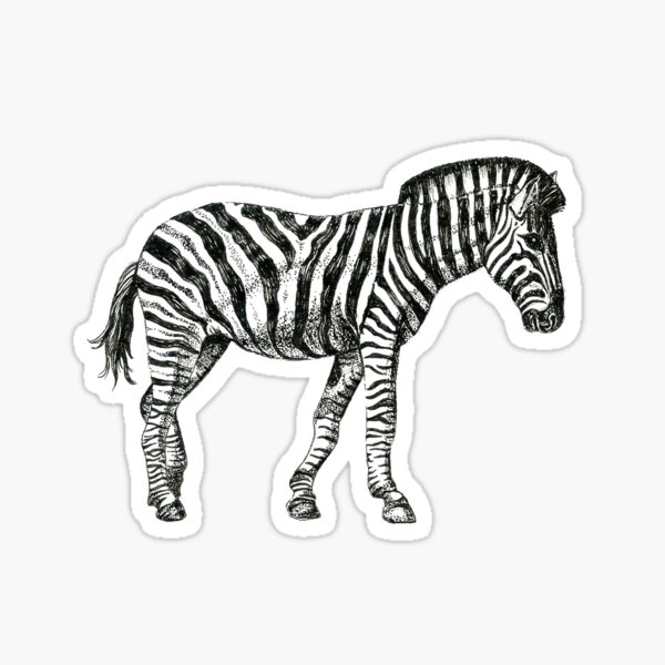 Zebra Sticker