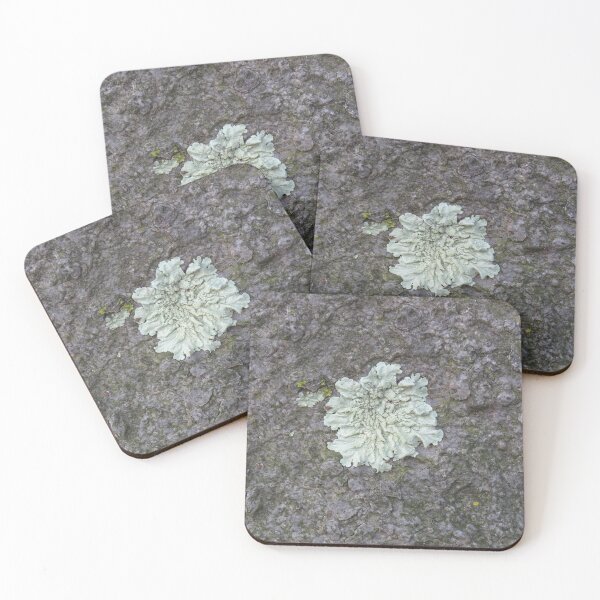 Item preview, Light green lichen designed and sold by greentiger1.