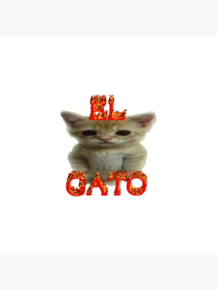 Bottons Memes de Gatos - Cat meme - Gatinhos