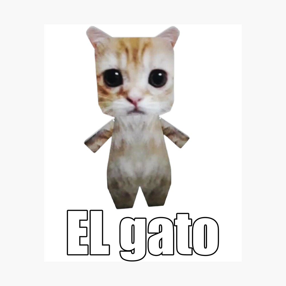 El gato cat tiktok funny meme 