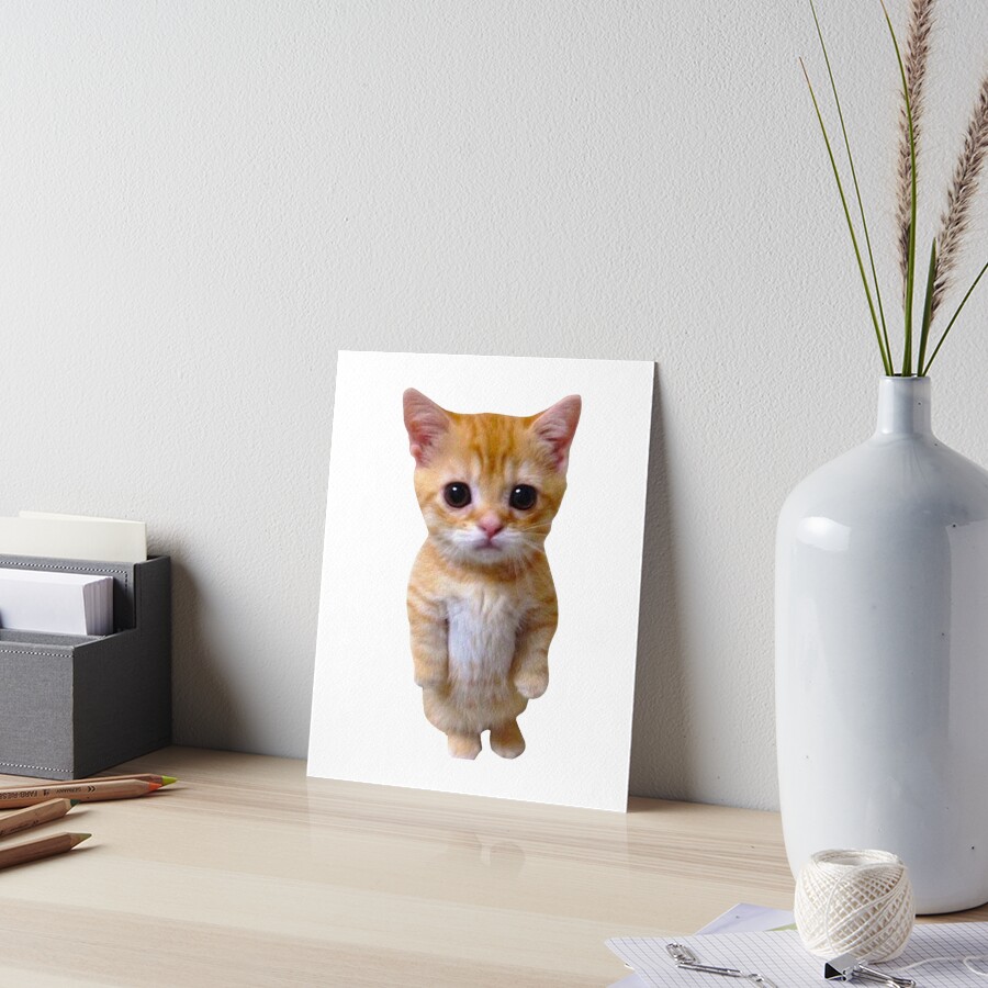 El Gato Sad Munchkin Kitty Cat Art Board Print For Sale By Gabrielsmithhi Redbubble