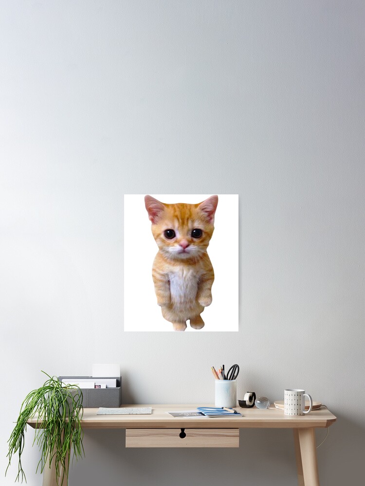 El Gato Meme Sad Crying Cat Munchkin Kitty Meme Trendy  Poster