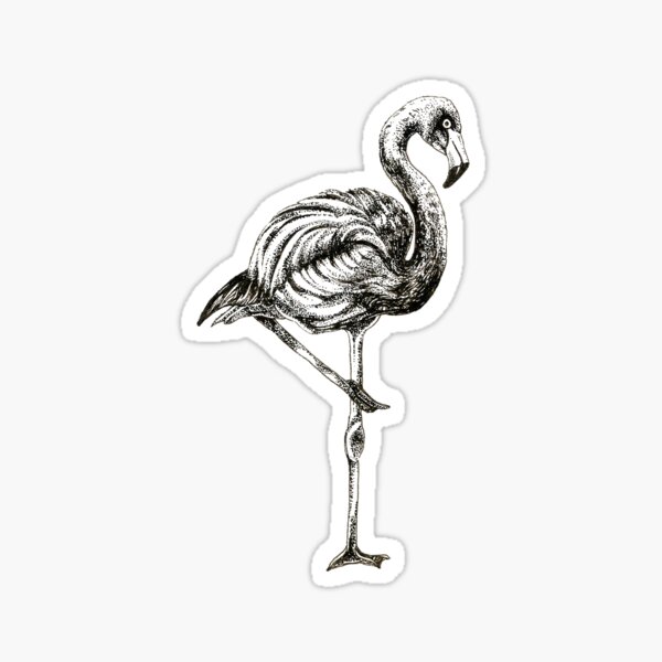 Flamingo Sticker
