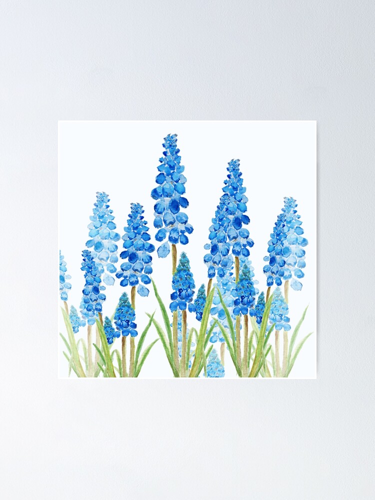 Thumbnail 1 of 3, Poster, blue grape hyacinth forest designed and sold by ColorandColor.