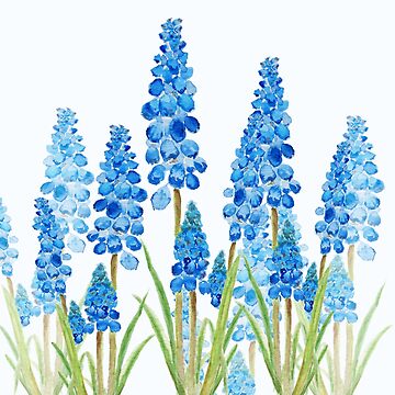 Artwork thumbnail, blue grape hyacinth forest by ColorandColor