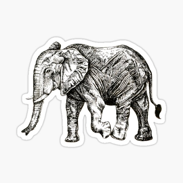 Elephant Sticker
