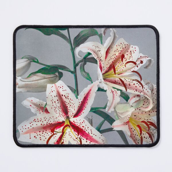 Item preview, Lily by Kazumasa Ogawa designed and sold by jadeandjester.