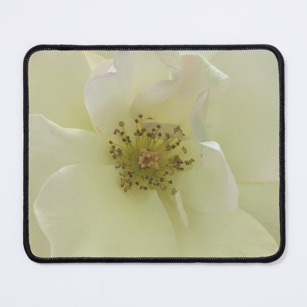 Item preview, Floribunda Rose Flower Original designed and sold by PLANTONE.