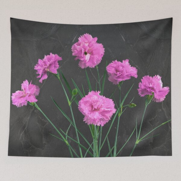 Item preview, Pinks on Slate, Pink Carnation Bouquet in my Photo Studio. designed and sold by JonDelorme.
