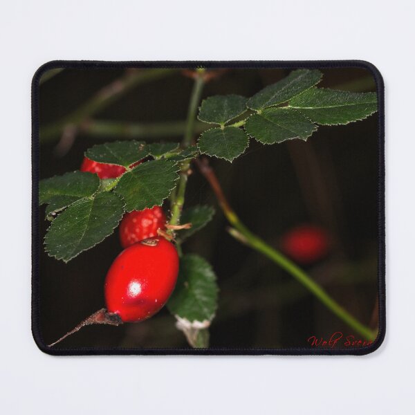 Item preview, Forest Close Ups (5) designed and sold by Wolf Sverak Photography.